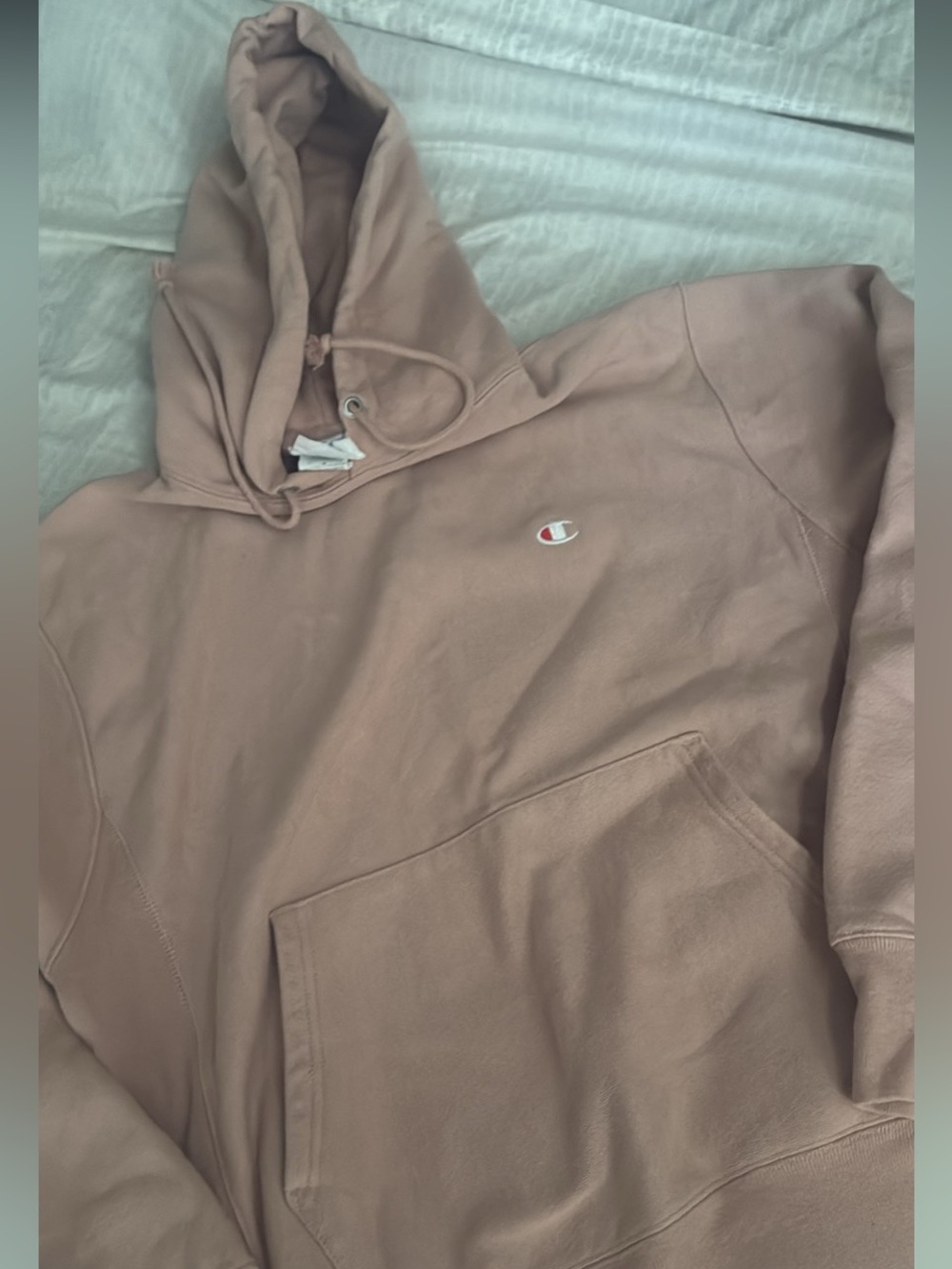 Champion Hooded Sweatshirt in Dusty Rose Sz M